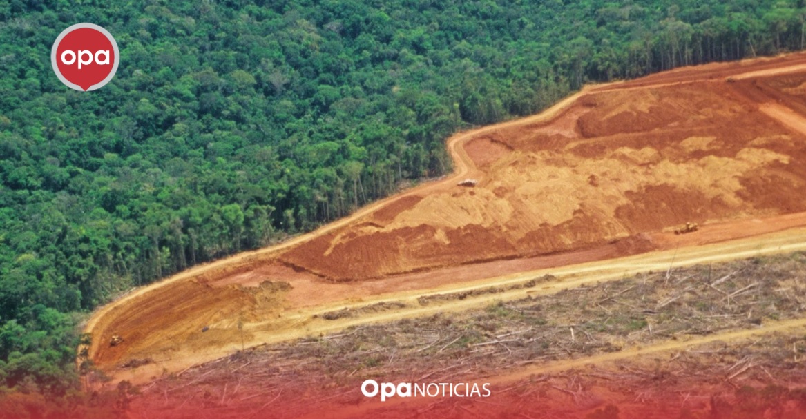 Procuradora General advierte sobre la crisis de deforestación en la Amazonía colombiana