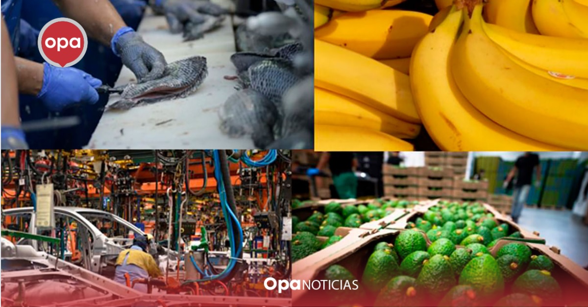 Sigue la diversificación exportadora de Colombia