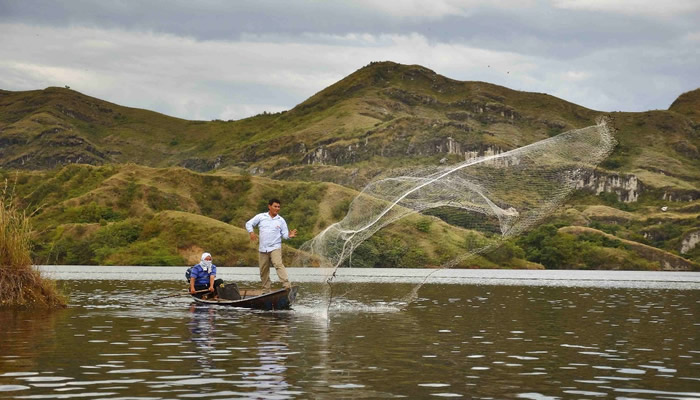 Inicia veda para la pesca del bagre rayado en el Huila