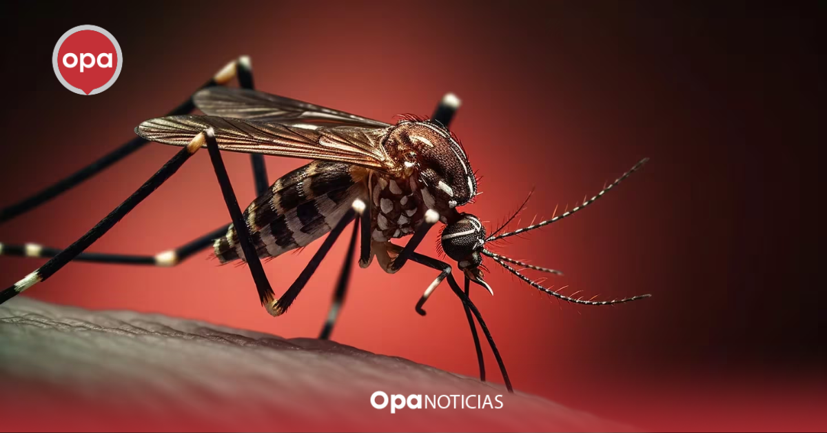 Las Ceibas EPN, invita a prevenir el contagio del Dengue