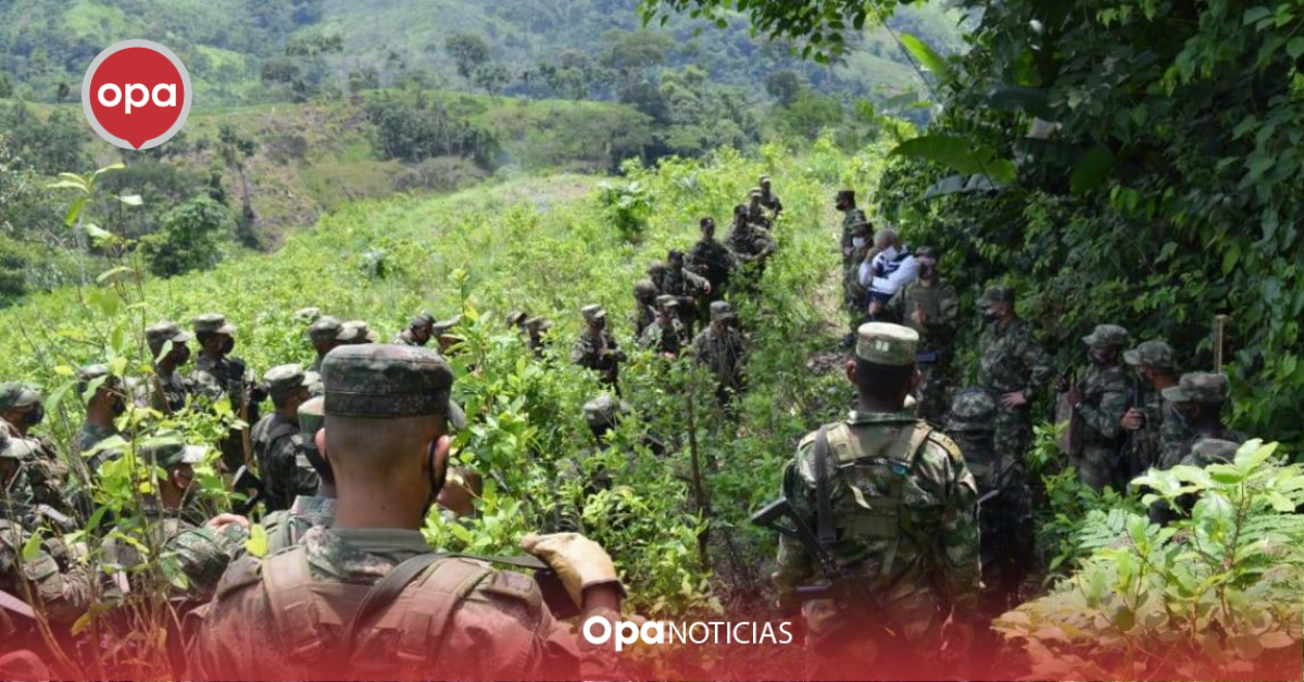 El devastador legado del narcotráfico en Colombia