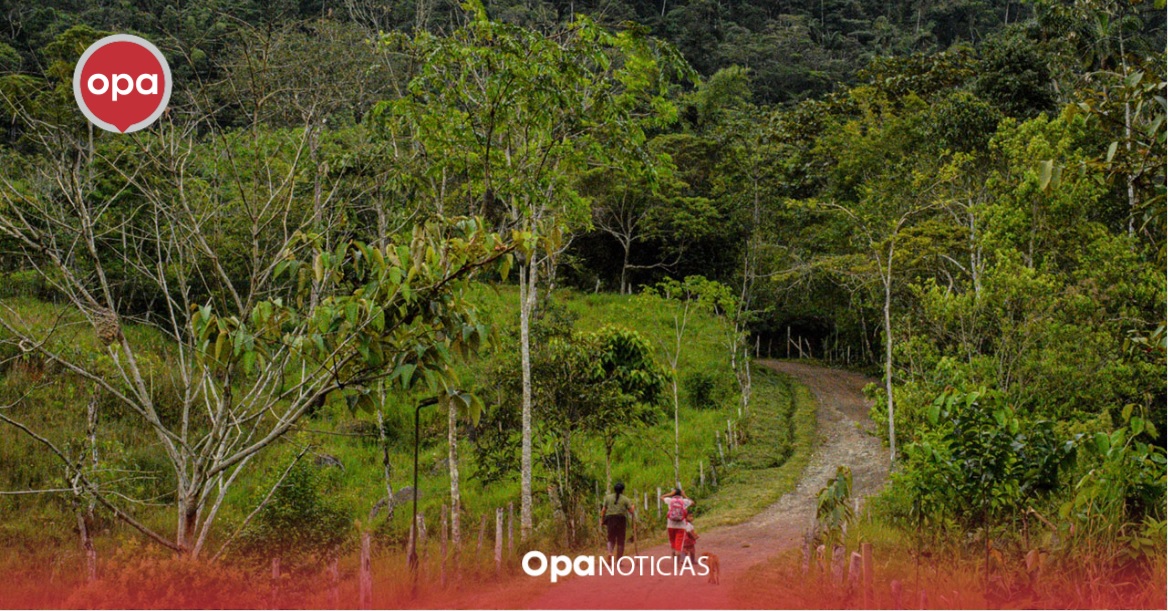 Gobierno asegura territorio: 7 zonas de reserva campesina abarcan 440,000 hectáreas