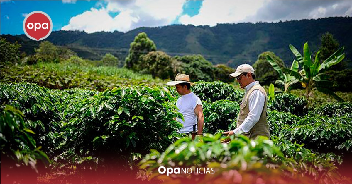 Un nuevo paso hacia la ley estatutaria de jurisdicción agraria