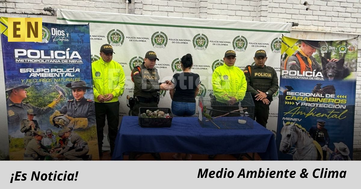 Capturan a implicado en tráfico ilegal de aves silvestres en Neiva