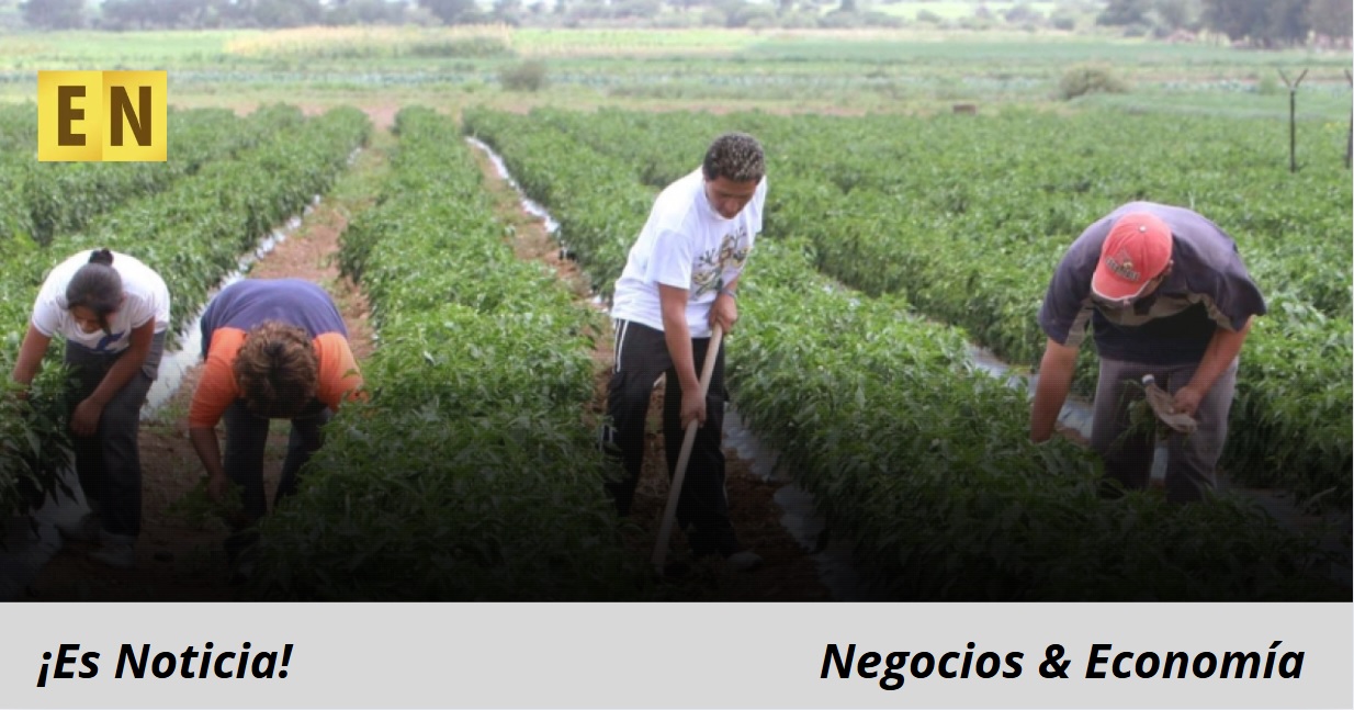 Recursos para impulsar sistemas de riego y drenaje en el campo