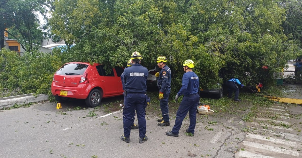 Vehículos afectados tras caída de árbol en el centro de Neiva