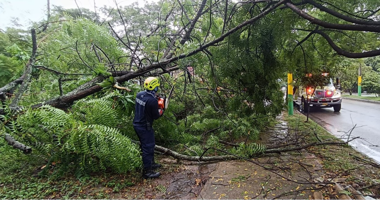 Atendiendo emergencias de árboles caídos en Neiva